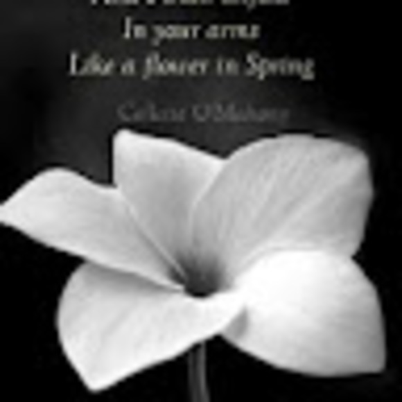 Meet your Posher, Beldomisa - Picture 1 of 1